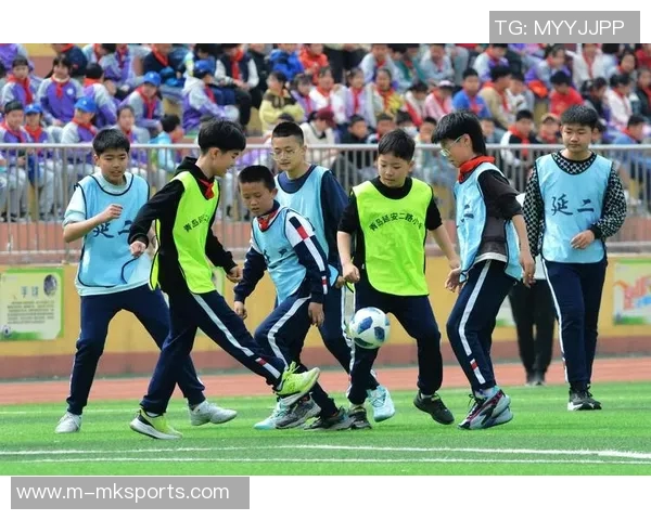 今年运动数据赵秀英专访从绿茵场到人生舞台的足球旅程回顾与展望